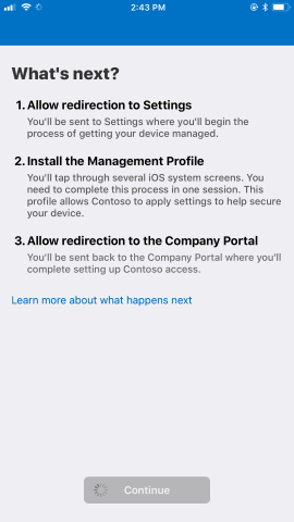Loading screen after tapping Next on What's next.