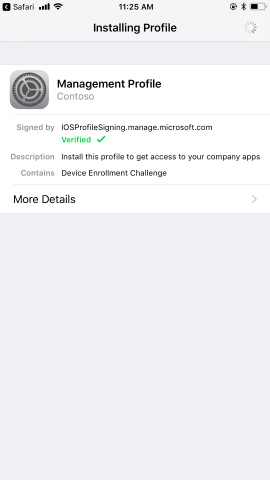 Profile is installing loading screen.
